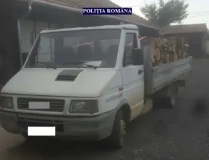 cine știe câți copaci tăiați