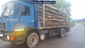 se fură lemne