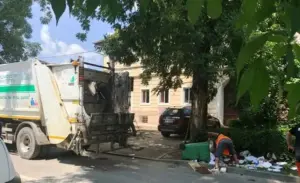 atenție: poliția lui falcă stă