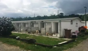 demonstrează că ești bun