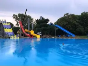 imbecilitate sau disperare? în toiul
