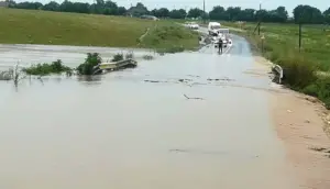 drumul dintre frumușeni și aluniș