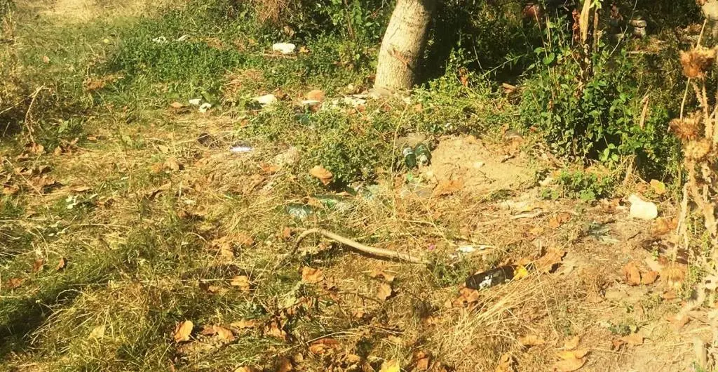 Reportaj de NICĂIERI... sau cum sună APPASSIONATA la granița dintre Micălaca și restul lumii