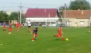 sorin botiș muncește
