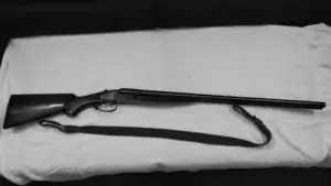 polițiștii de la „arme”