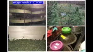 ziua condamnărilor pentru cei trei