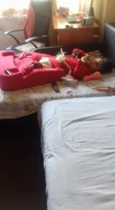 tinerii alde arad au fost