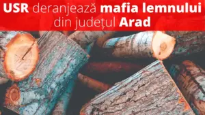usr arad a avut