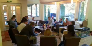 organizația județeană de tineret alde