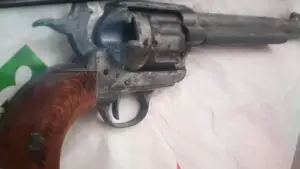 un elev din șofronea