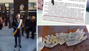 falcă - amendat de inspecția