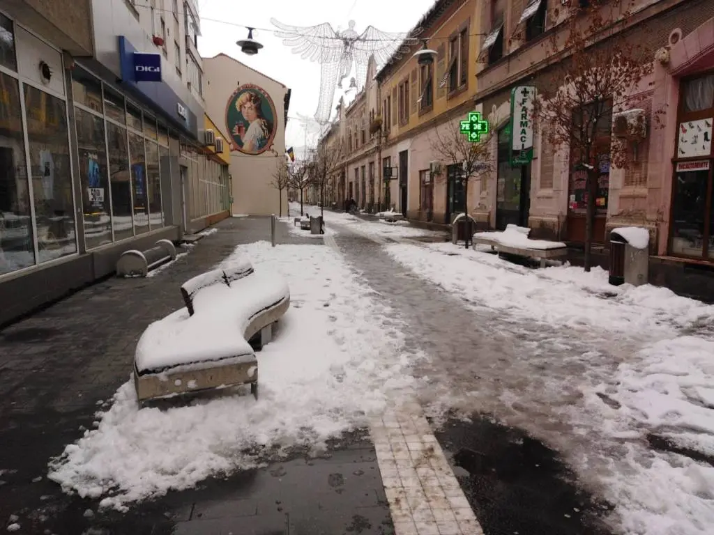 Dați cât mai multe motive TURIȘTILOR pentru care Aradul trebuie evitat! Azi avem PISICI CONGELATE pe „Mețianu” și PEREȚI PRĂBUȘIȚI pe „Dorobanților” [FOTO HORROR]