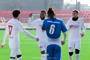 uta - şoimii lipova