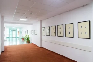 complexul muzeal arad