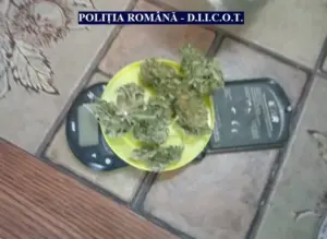 surprinzător sau nu - dar