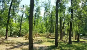 în sfârșit