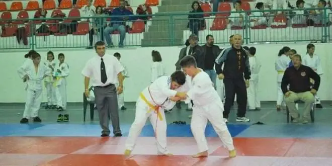 judo