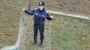 au vrut să pescuiască