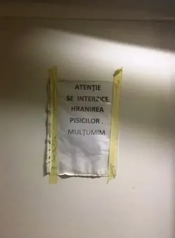 SPITALUL Județean Arad este un FOCAR de INFECȚII NOSOCOMIALE și BOLI, care stă pe o „pungă” de PISICI și ȘOBOLANI și care trebuie RAS de pe fața pământului... IERI! [1]