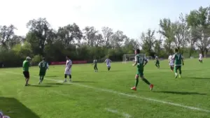 victoria nădlac s-a retras oficial
