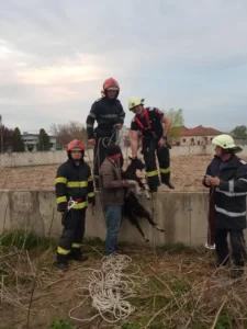 pentru că orice viață contează