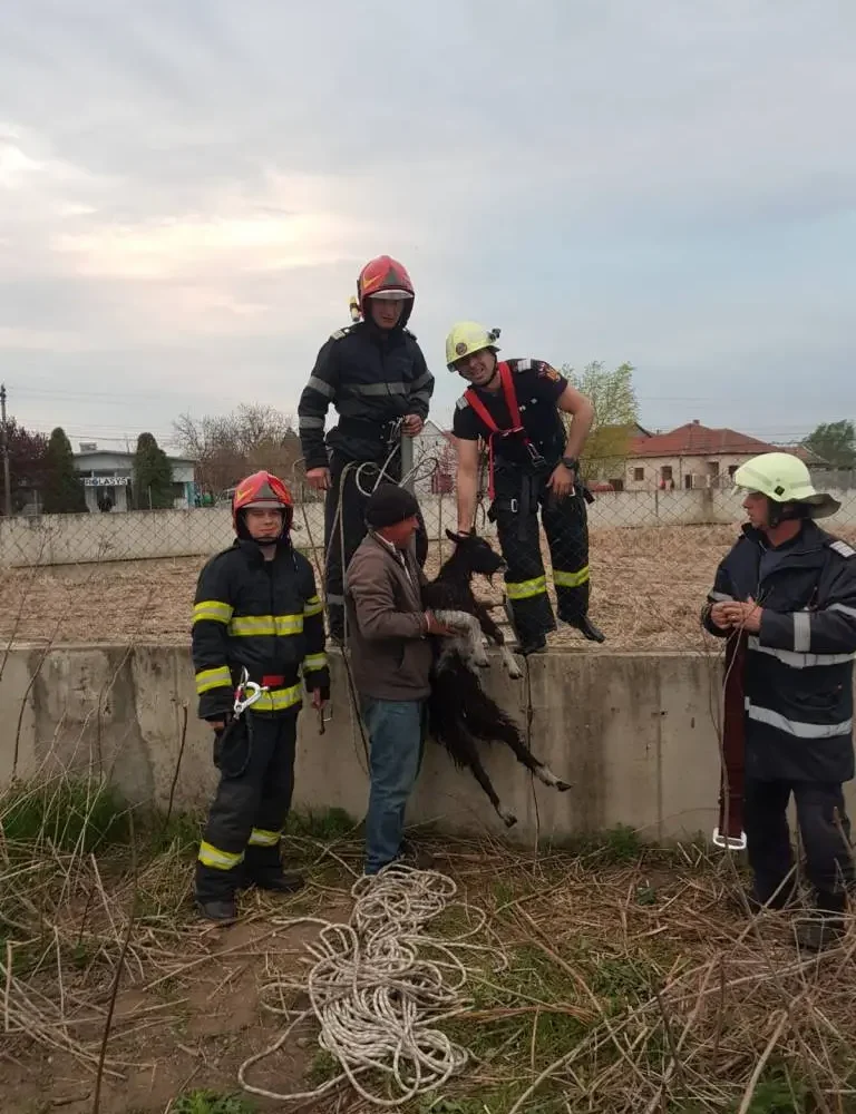 pentru că orice viață contează