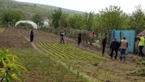așa... de paștile catolice