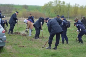 1500 de arbori redați naturii