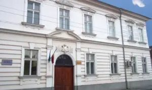 trei țigani din milova -