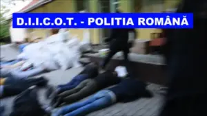 diicot și scco timișoara