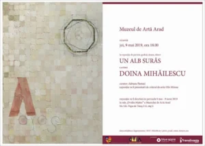 artista de nivel internațional doina