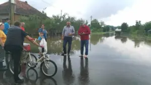 familiile ale căror case