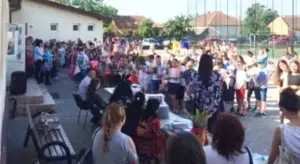 elevii din șofronea cu rezultate