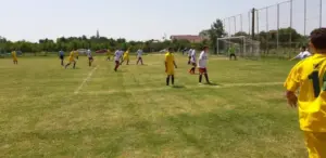 cupa satelor și-a desemnat semifinalistele