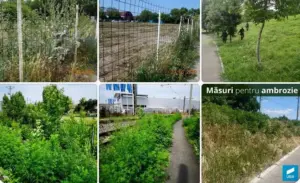 fii atent cum au „combătut