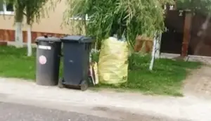 au rezolvat problema gunoiului