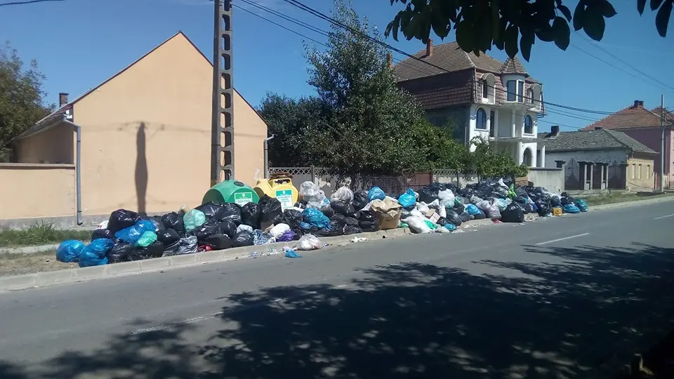 NU, aici nu mai e vorba despre „Criza gunoiului”, ci despre GUNOAIELE CARE NE CONDUC: Așa arată intrarea în CIMITIRUL EROILOR din RADNA-LIPOVA înaintea comemorării unor oameni care, acum 75 de ani, au murit DEGEABA pentru această țară!