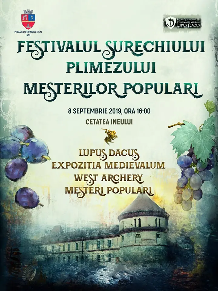 FESTIVALUL SURECHIULUI - o reconstituire medieval-artistică a ce ar putea fi prefața unui TREND TURISTIC în doar câțiva ani: CETATEA INEULUI