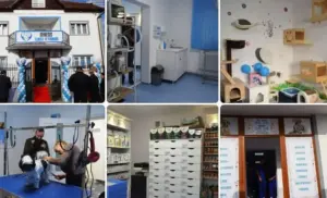clinica veterinară genesis -