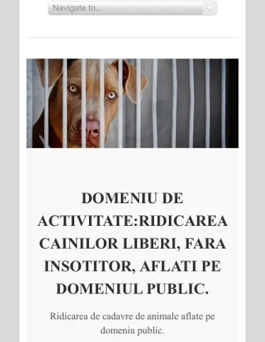 „Adăpostul de câini” al Gospodăririi Comunale S.A. este, în fapt, un LAGĂR AL MORȚII! MII de animale au fost EUTANASIATE din ordinul „Kapo”-ului Ciul Tiberiu, sub tutela „Führer”-ului Falcă Gheorghe (I)