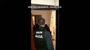 percheziții la 11 domicilii din bucurești