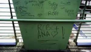bacoviană de arad... cadavrul unei
