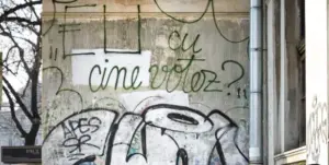 eu cu cine votez