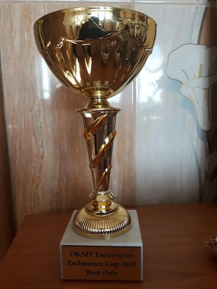 CSM Arad a câștigat Cupa DKMT
