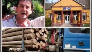 Moneasa a ajuns „patria hoților” și „perla scandalurilor” - iar dacă dna ar face un tur între judecătoria gurahonț și primărie, ar salva nu doar comuna, ci și planeta de primarul nuțu herbei! 33 moneasa1 640x360 1