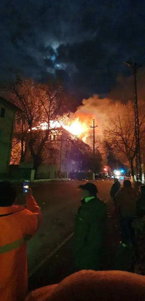 panică la curtici