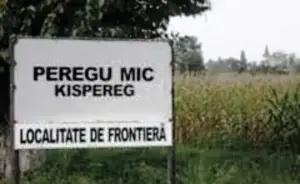 percheziții la peregu mic