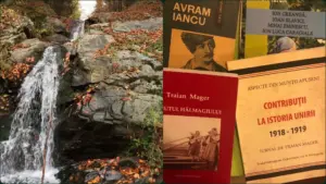 ținutul hălmagiului istoric în viziunea
