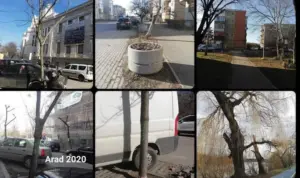 a început oficial masacrul