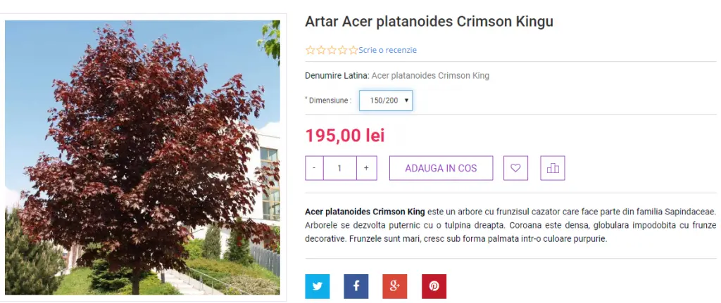 Primăria plantează COPACI în CARTIERE și POMI pe BULEVARDE, tăind aproape tot ce-i vechi și cu coroană. Încă nu știm dacă asta E BINE și CORECT - dar observăm că E SCUMP